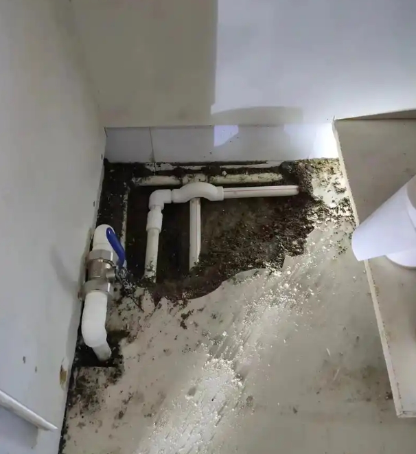 北京地埋管道漏水檢測案例